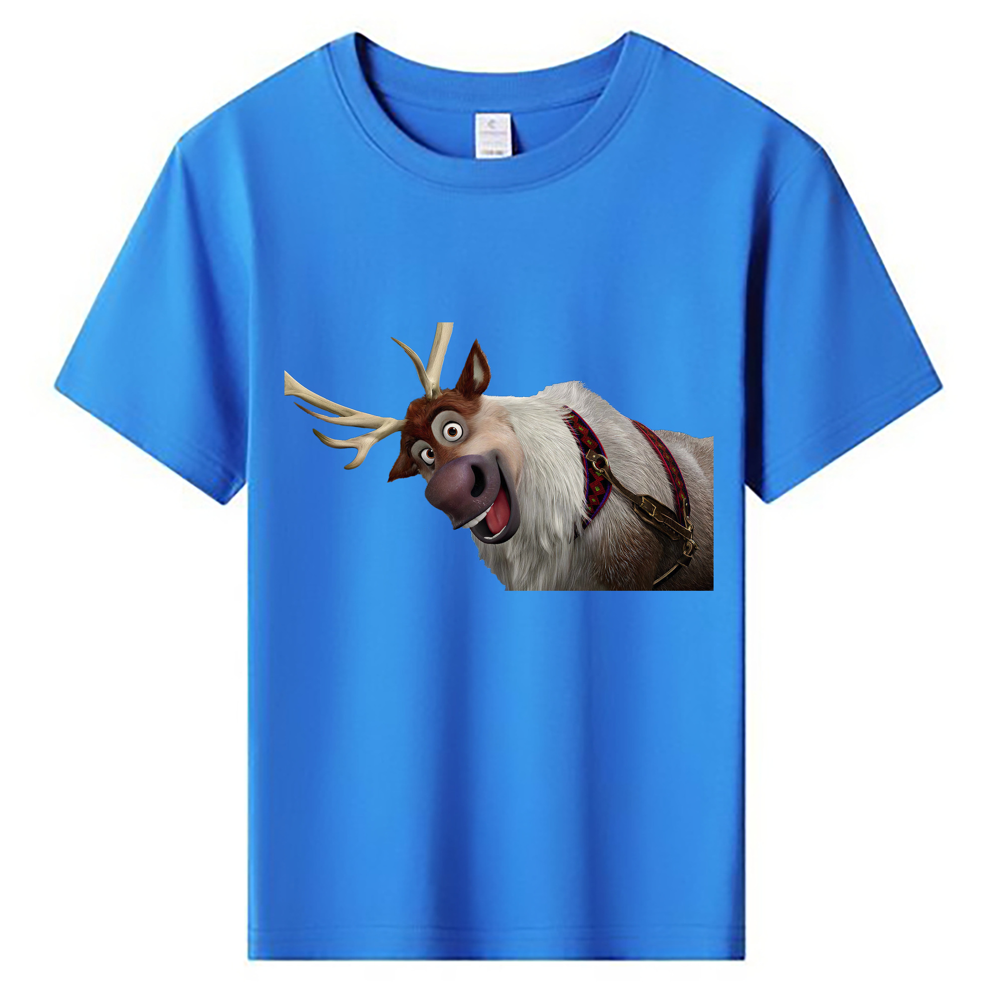 （画像用） アナと雪の女王 アンナ エルサ Frozen Anna Elsa 綿100％キッズTシャツ（フロントプリント）